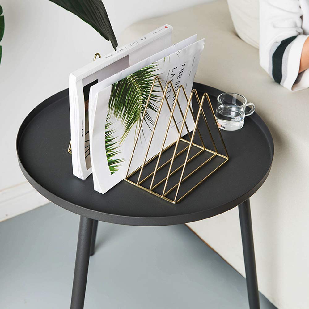2-Pack Gold Triangle Magazine File Racks – 9 Slots