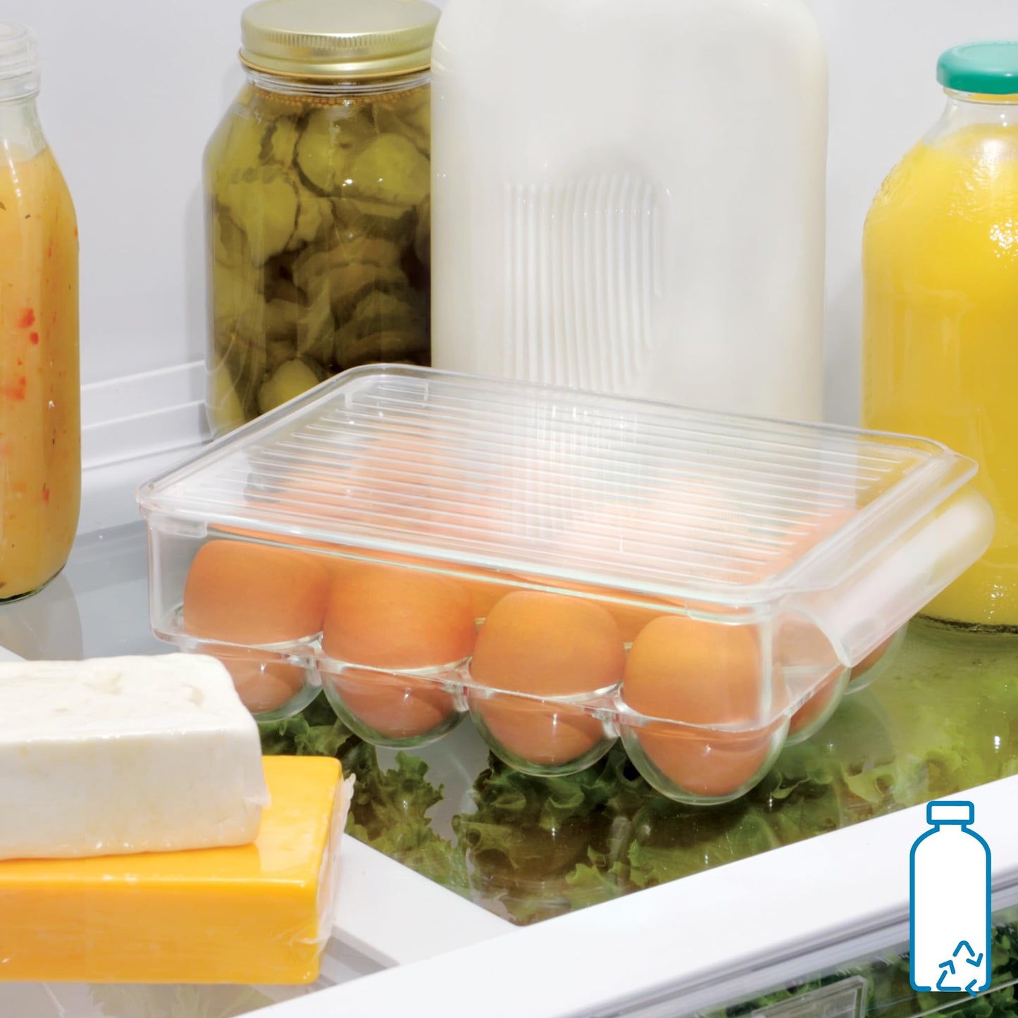 Transparent Egg Storage Box - Holds 12 Eggs